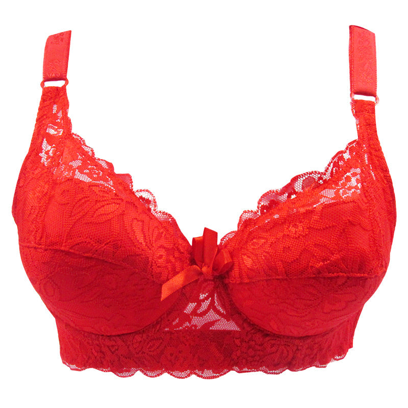 Full Cup Latest Women Lace Adjustable Bra