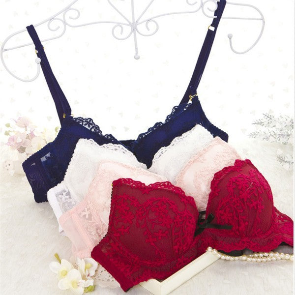 Women Lace Underwear Bra Sets & Briefs